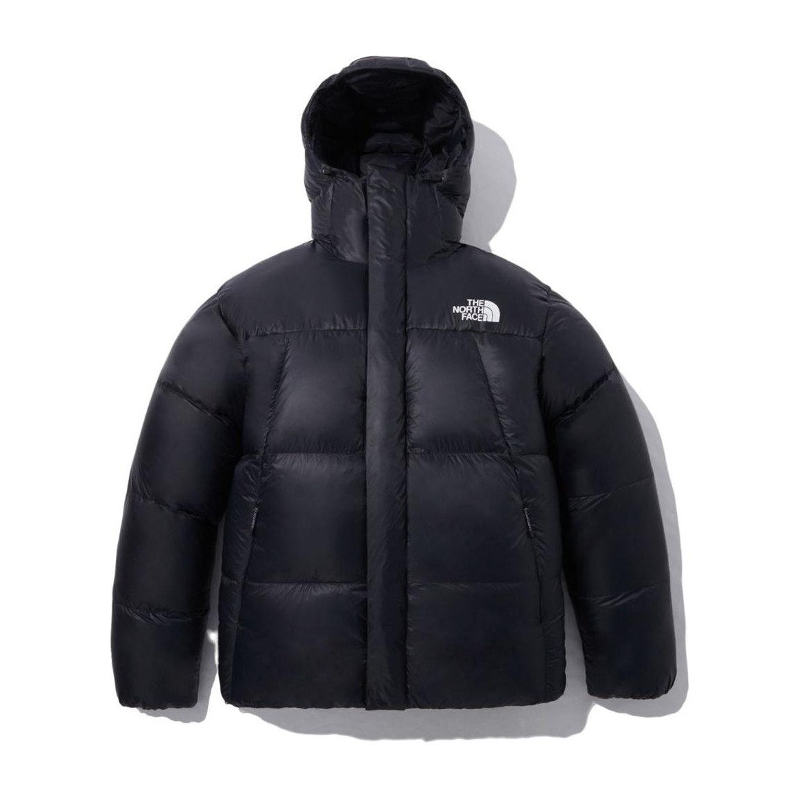 The North Face Eco BARUNTSE DOWN Black