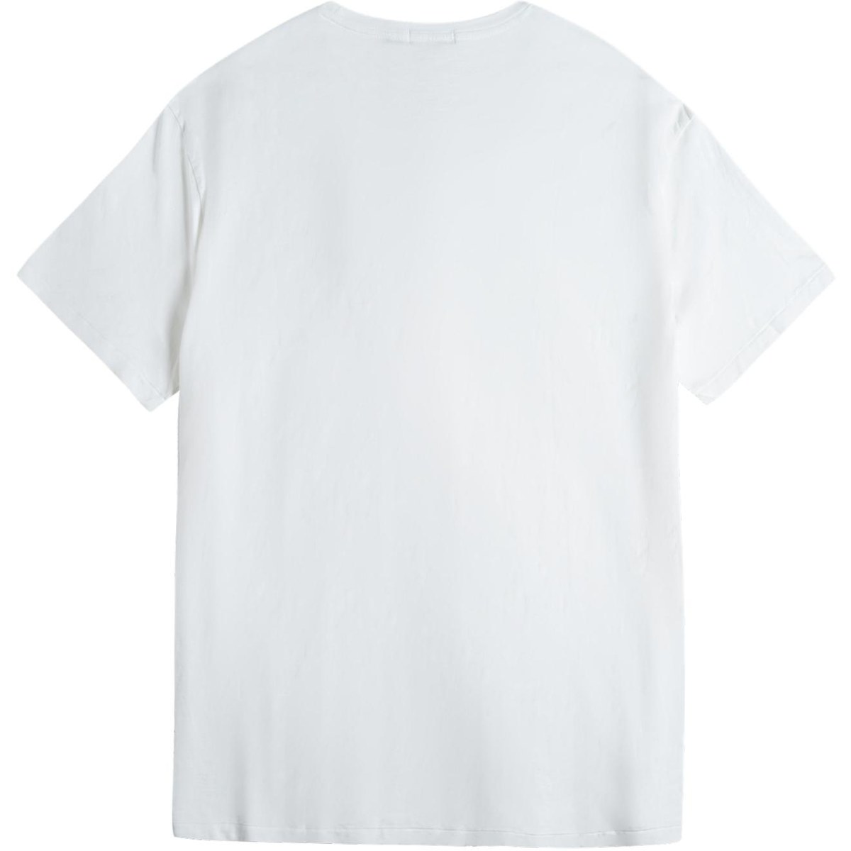 Polo Ralph Lauren SS24 Bear Embroidered Tee White