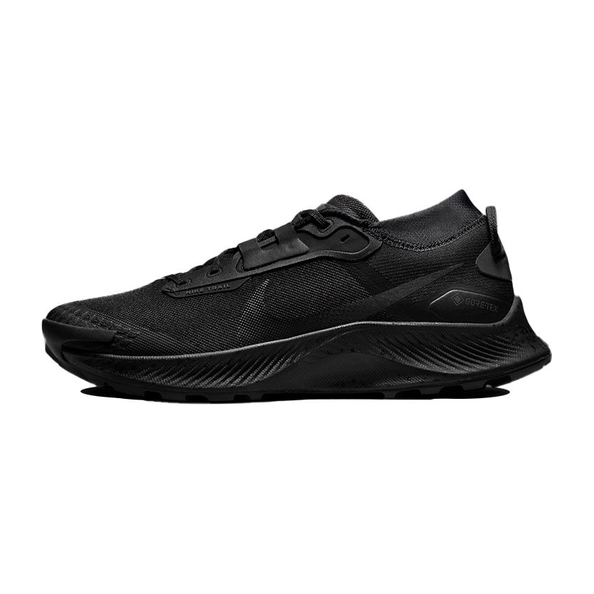 Nike Pegasus Trail 3 Gore-Tex Black