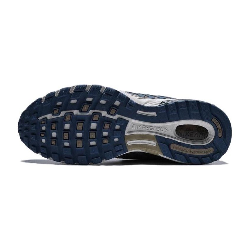 Nike Air Pegasus 2005