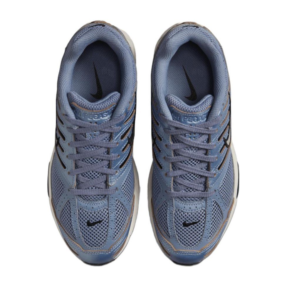 Nike Air Pegasus 2005 Blue