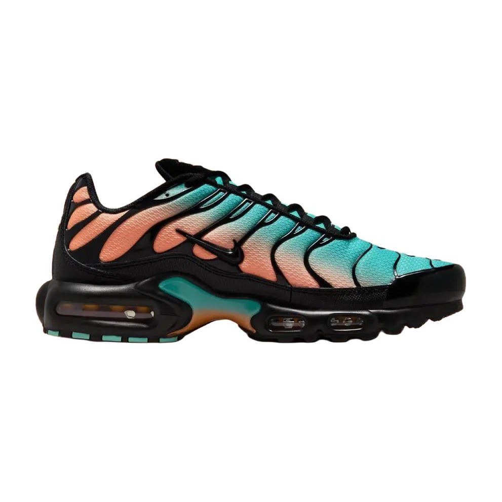 Nike Air Max Plus "South Florida"