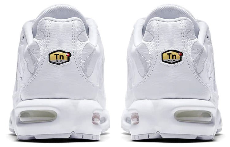 Nike Air Max Plus