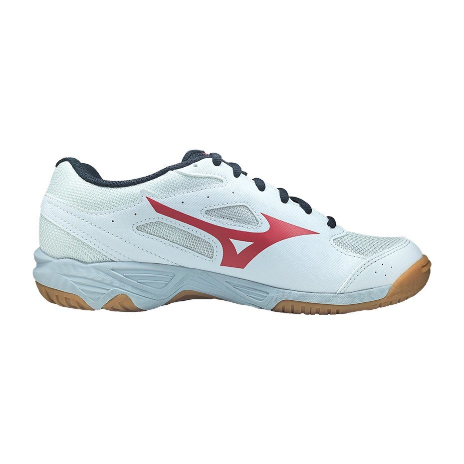 Mizuno