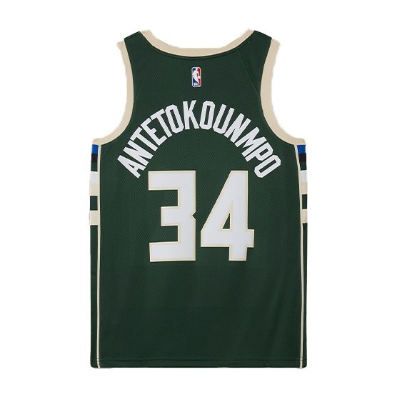 Nike NBA Giannis Antetokounmpo 34 Jersey Green