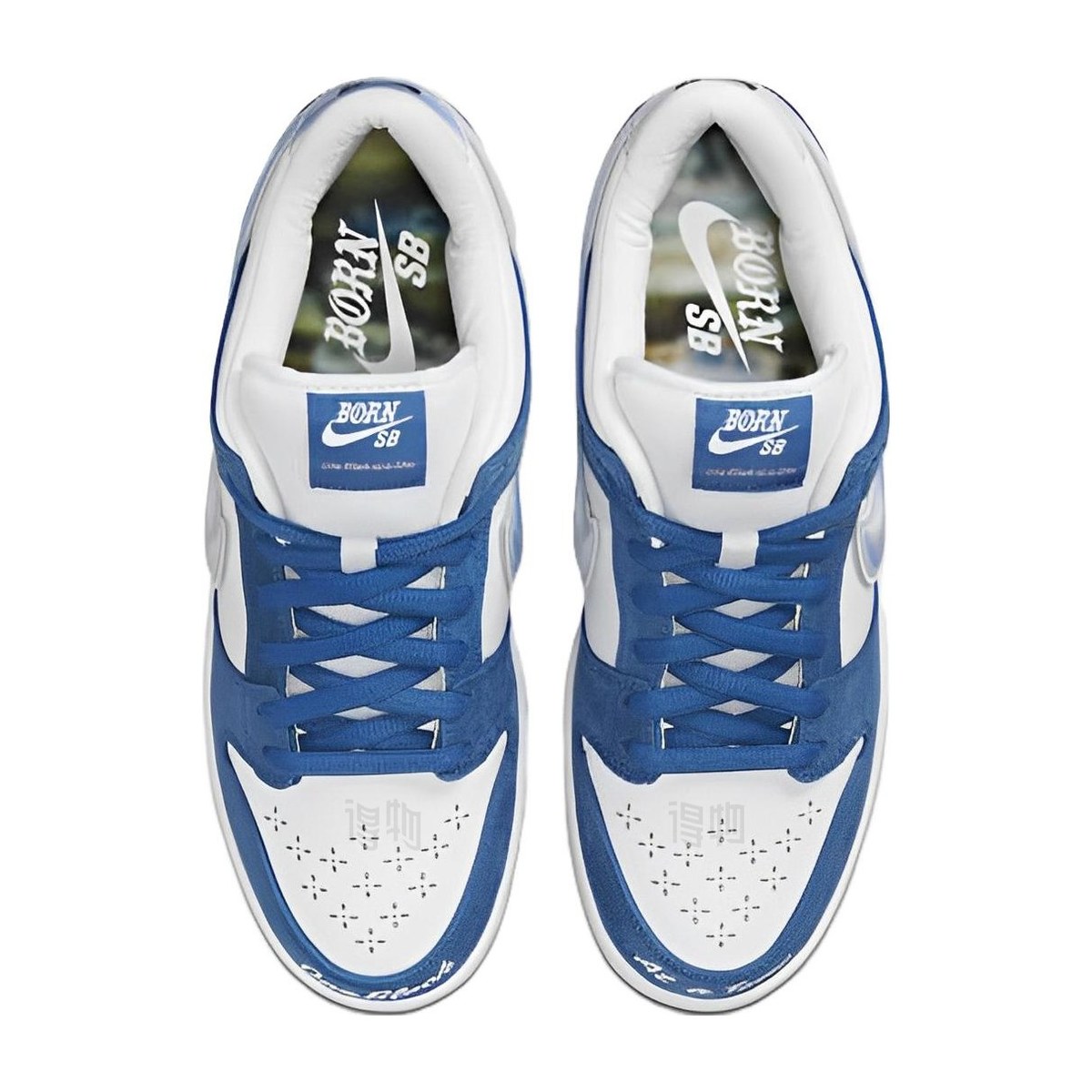 Born x Raised x Nike Dunk SB