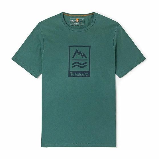 Timberland T
