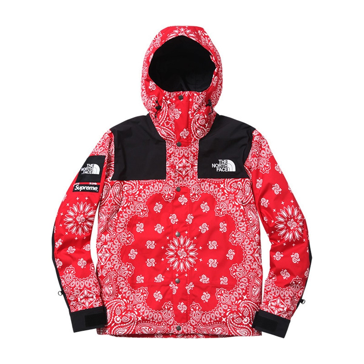 Supreme x The North Face Red Jacket