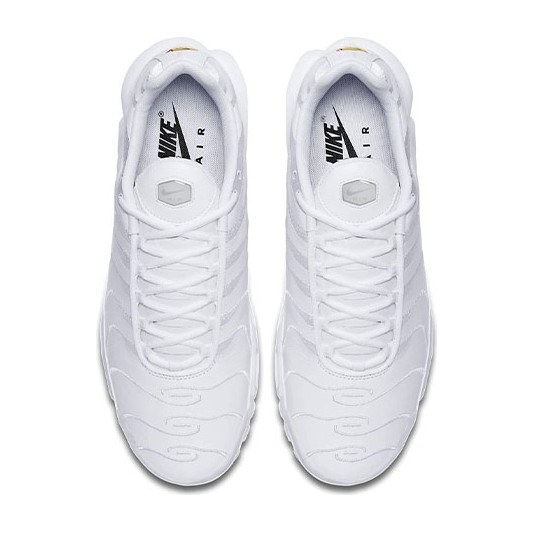 Nike Air Max Plus
