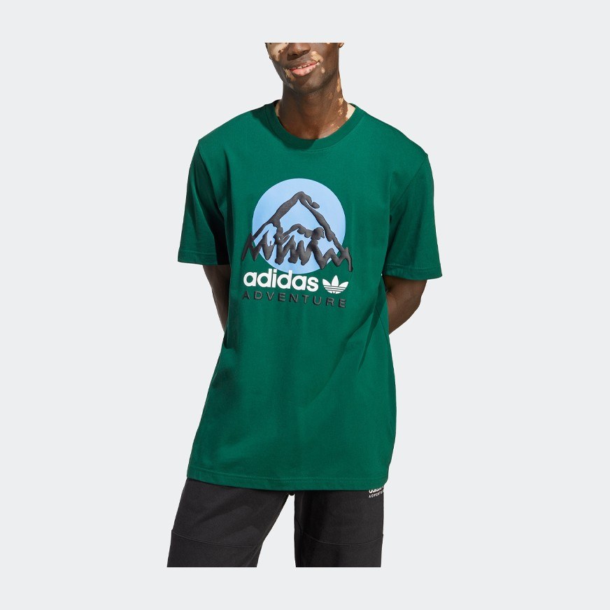 adidas originals Adv Mtn F Tee LogoT