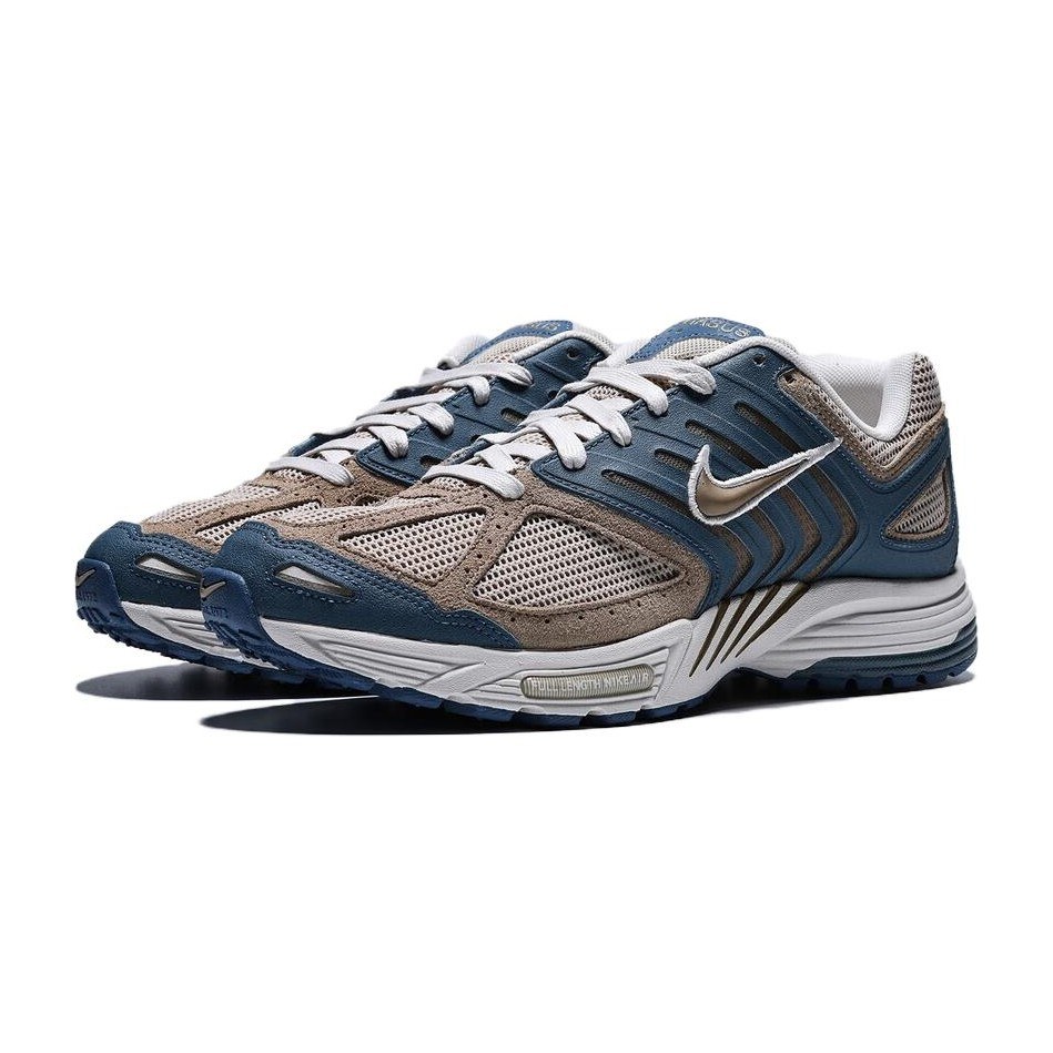 Nike Air Pegasus 2005