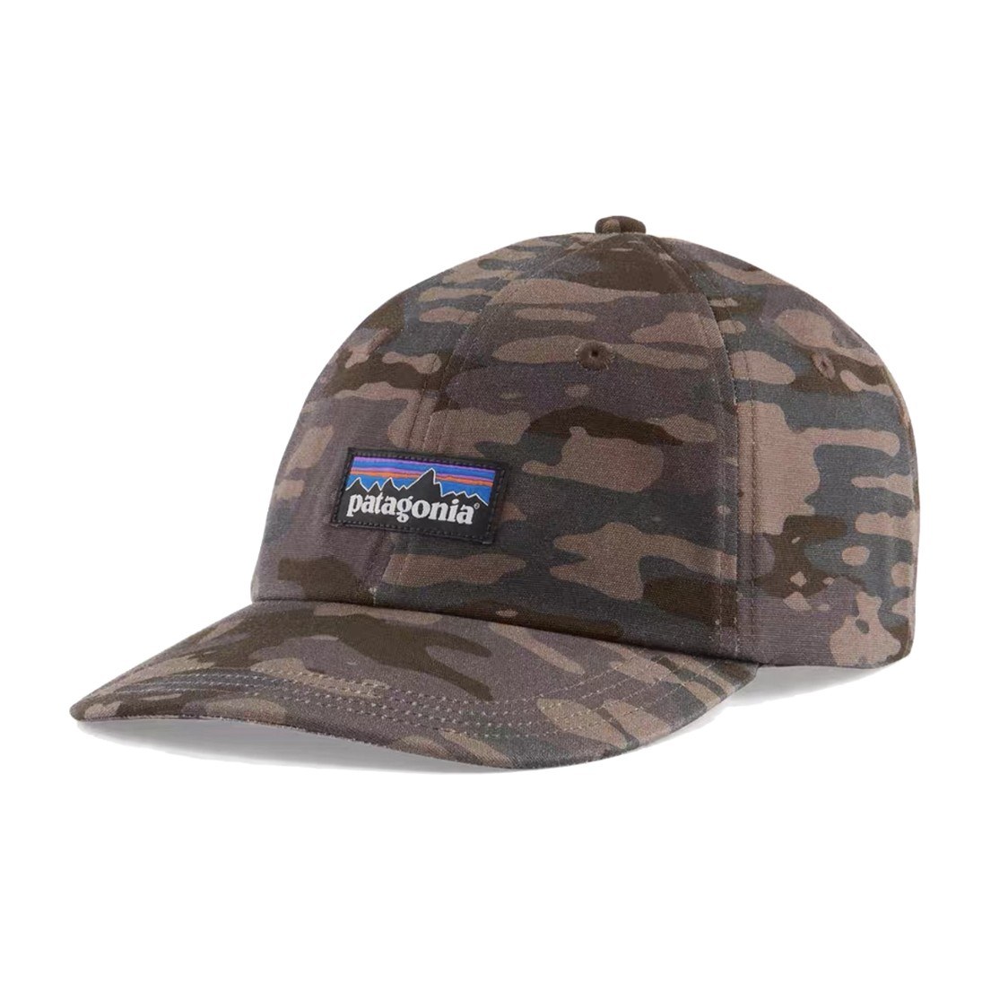 Patagonia Cap Brown