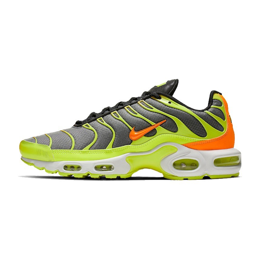 Nike Air Max Plus Color Flip