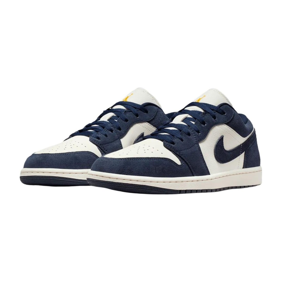 Jordan Air Jordan 1 SE Navy Blue