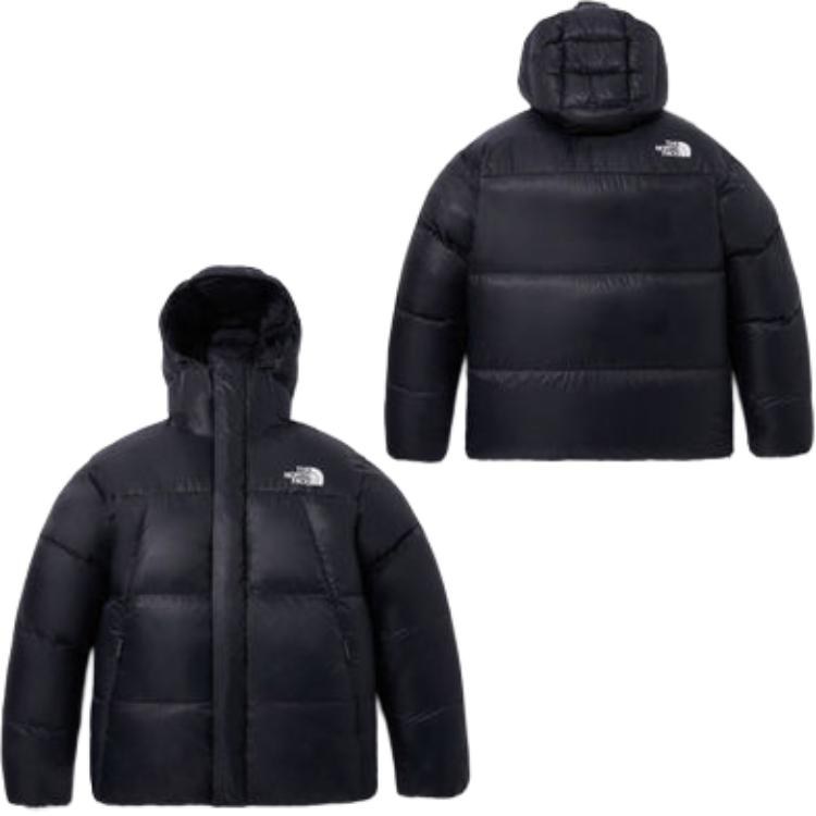 The North Face Eco BARUNTSE DOWN Black