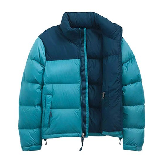THE NORTH FACE 1996 Retro Nuptse 700