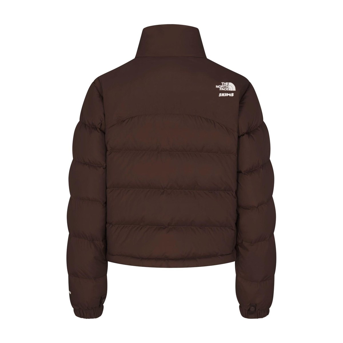 The North Face x Skims FW24 Ski Jacket Brown