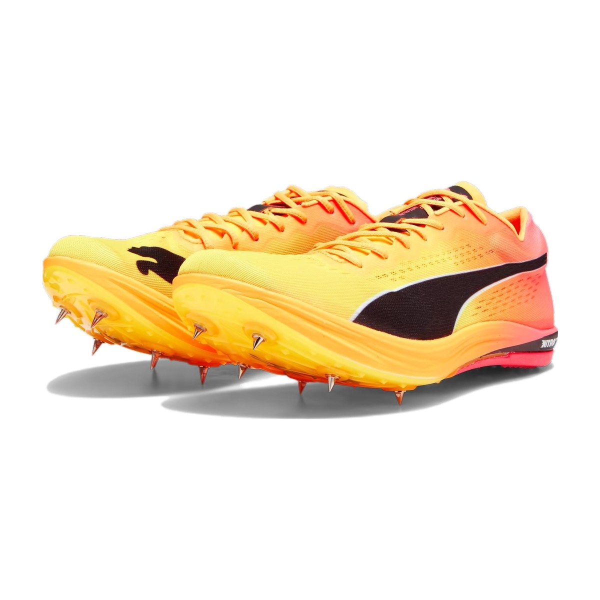 PUMA evoSPEED Long Distance