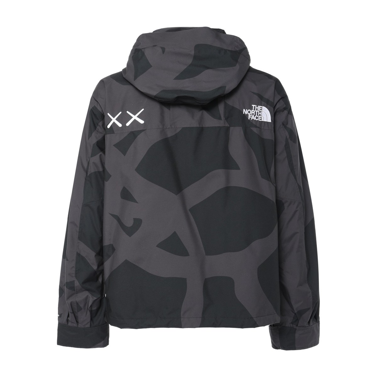 The North Face x KAWS