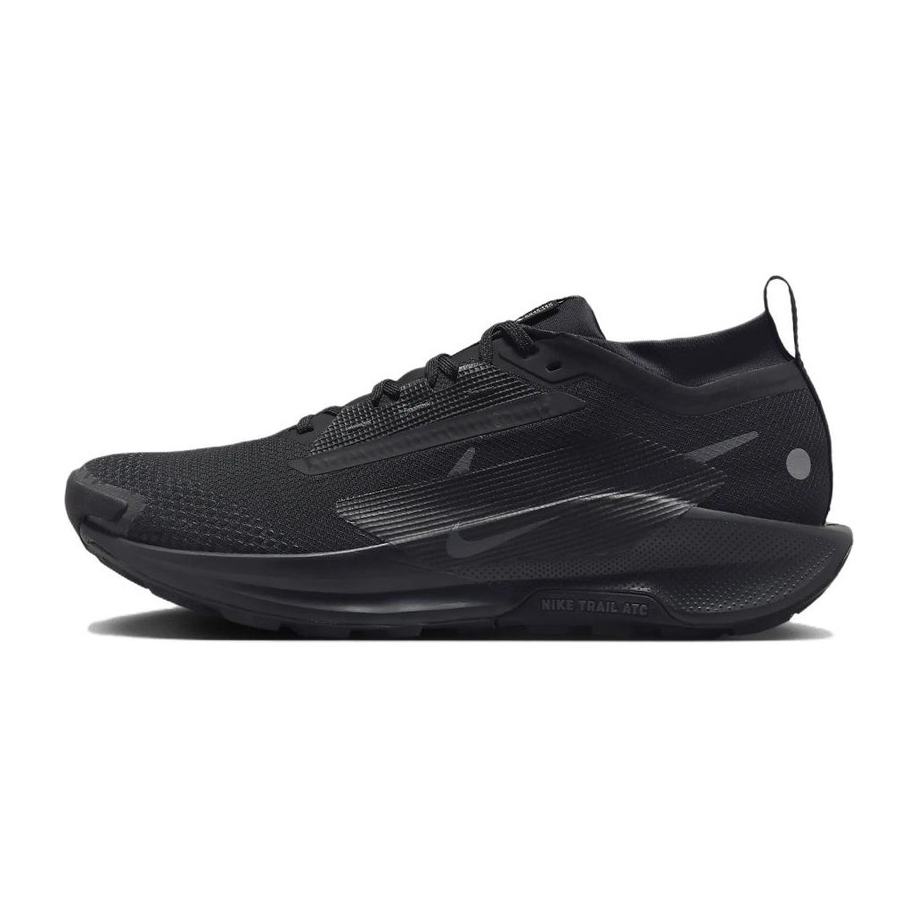 Nike Pegasus Trail 5 GORE-TEX