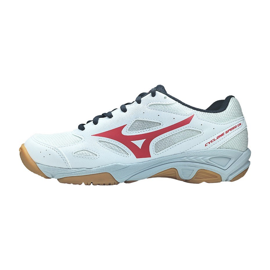 Mizuno
