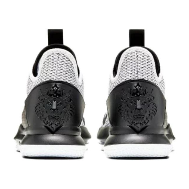 Nike Witness 4 LeBron EP