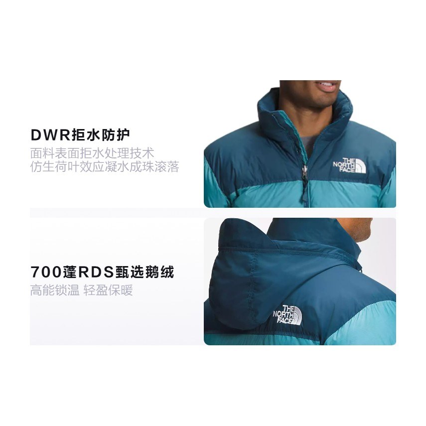 THE NORTH FACE 1996 Logo700