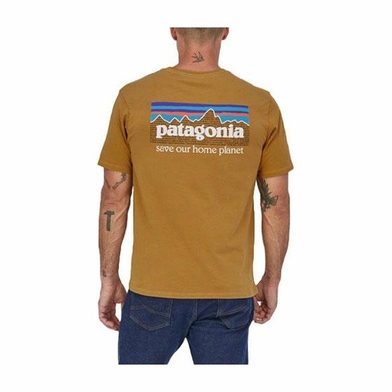 Patagonia P-6 Mission Organic T-shirt