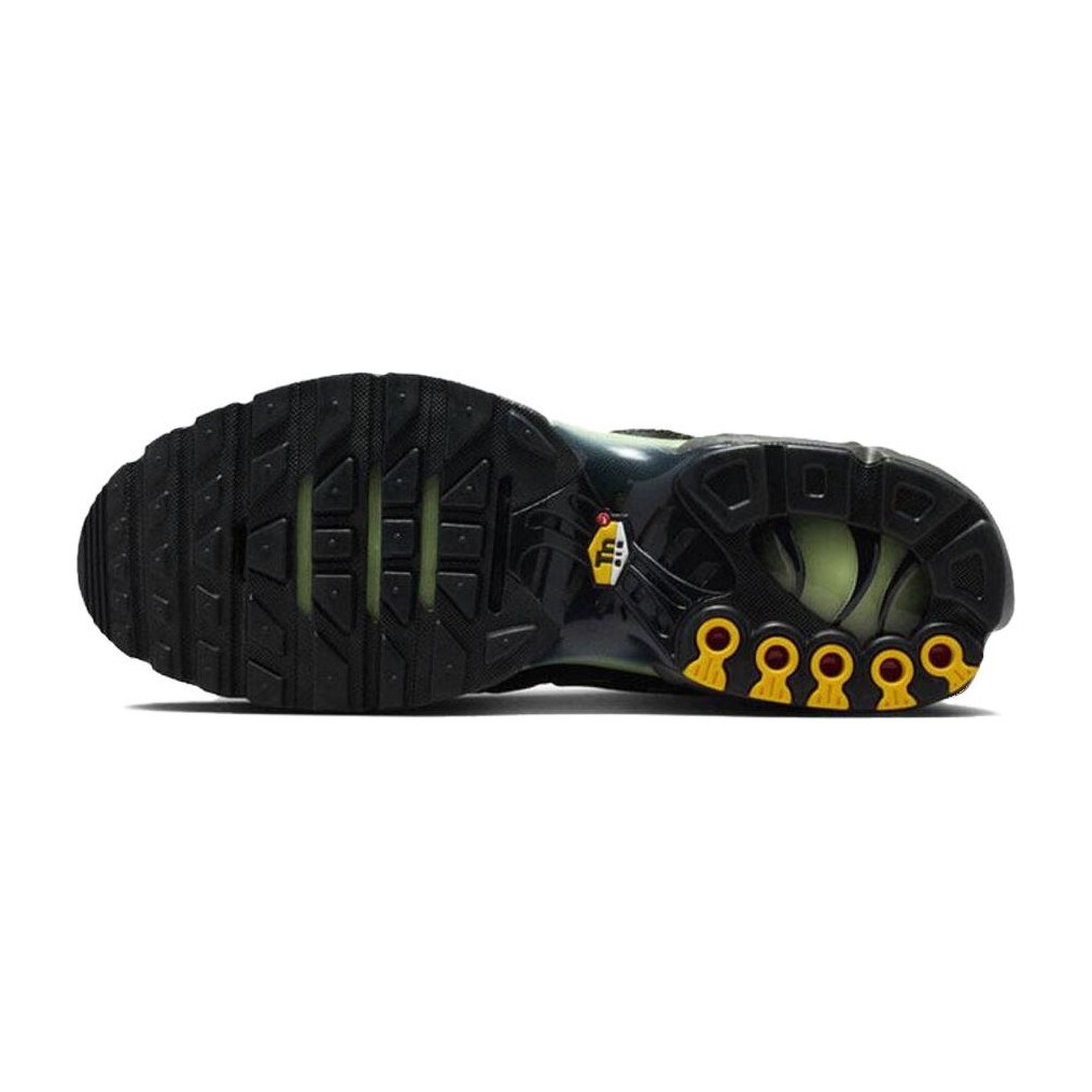 Nike Air Max Plus