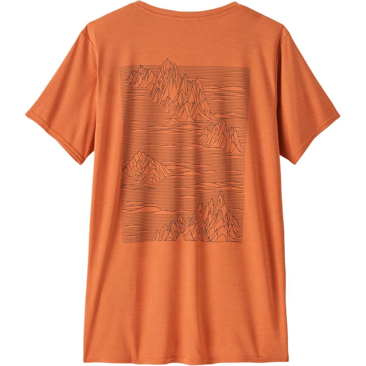 patagonia T
