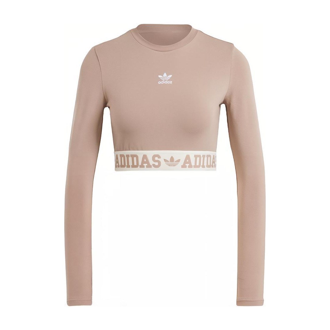 adidas originals Neutral Court Graphic Tee LogoT