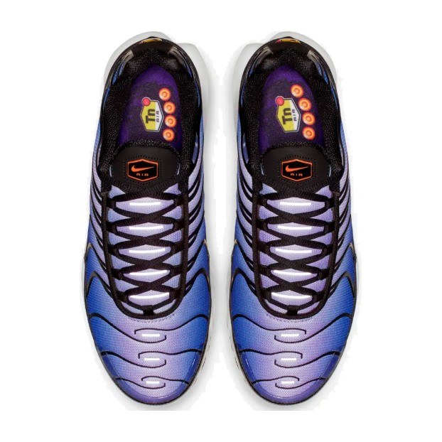 Nike Air Max Plus Midnight Purple