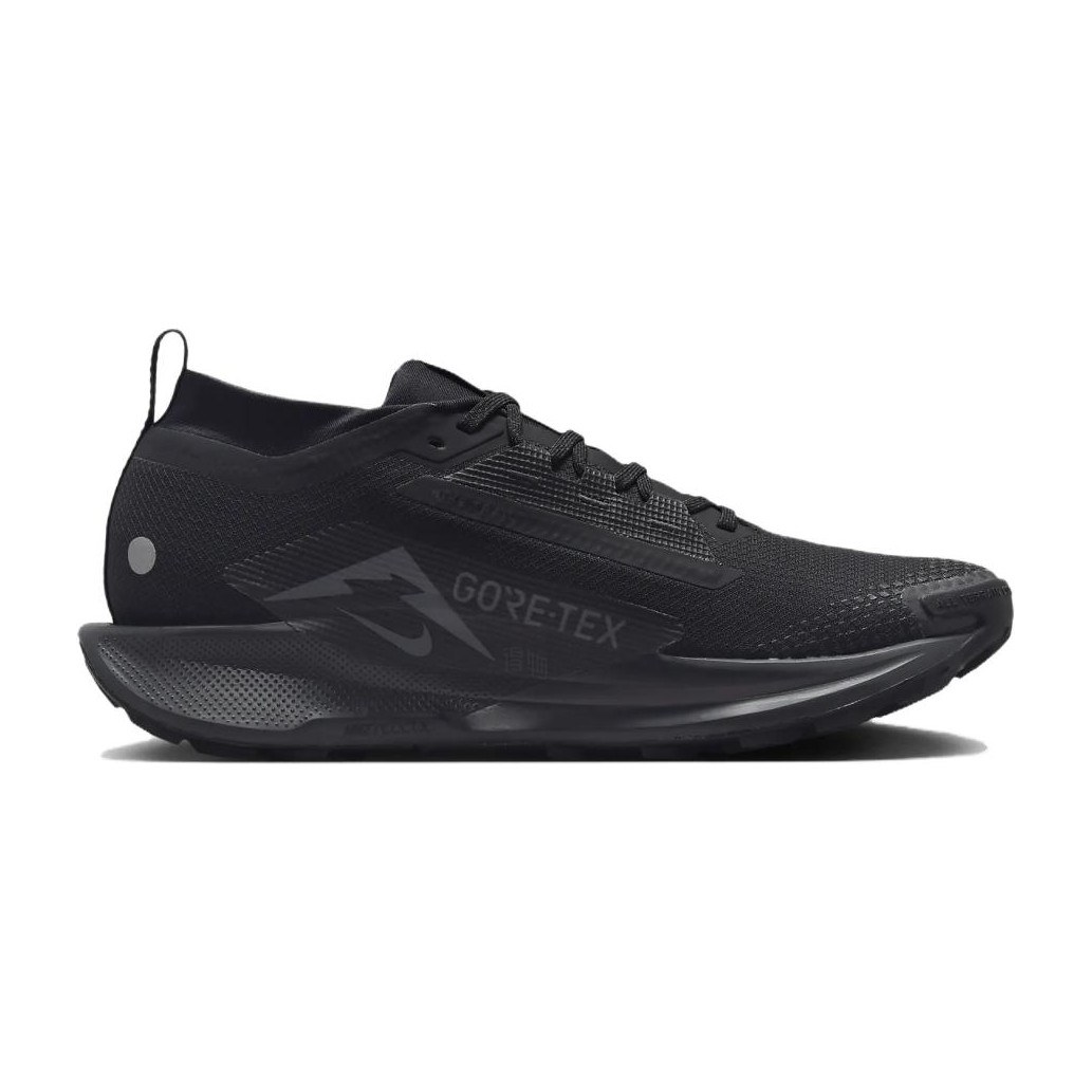 Nike Pegasus Trail 5 GORE-TEX