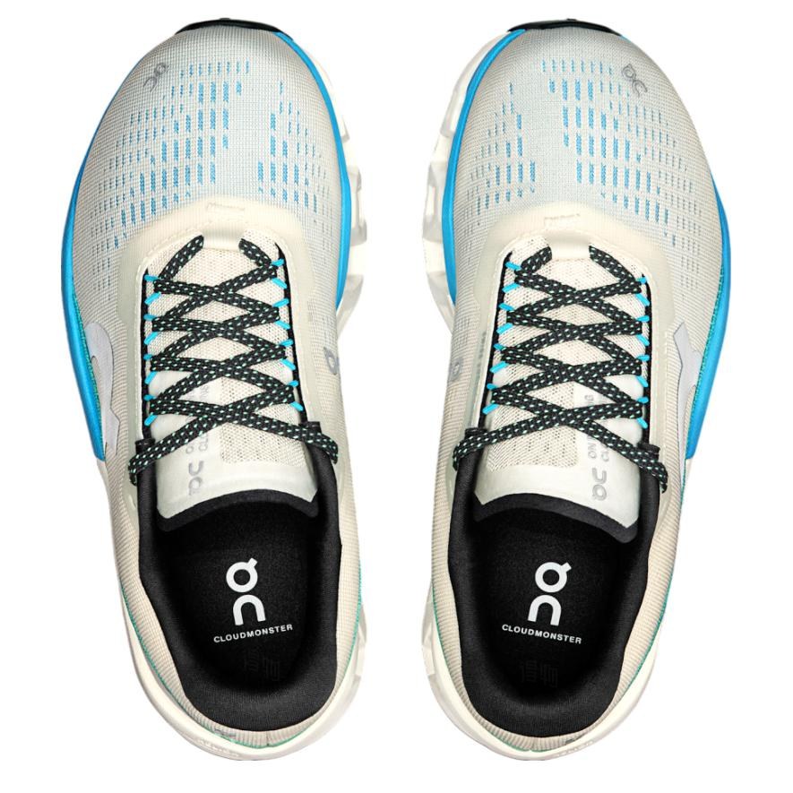 On Cloudmonster 2 WMNS