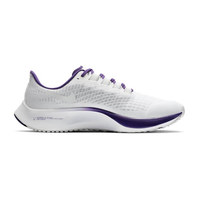 Nike Pegasus 37 "Minnesota Vikings"