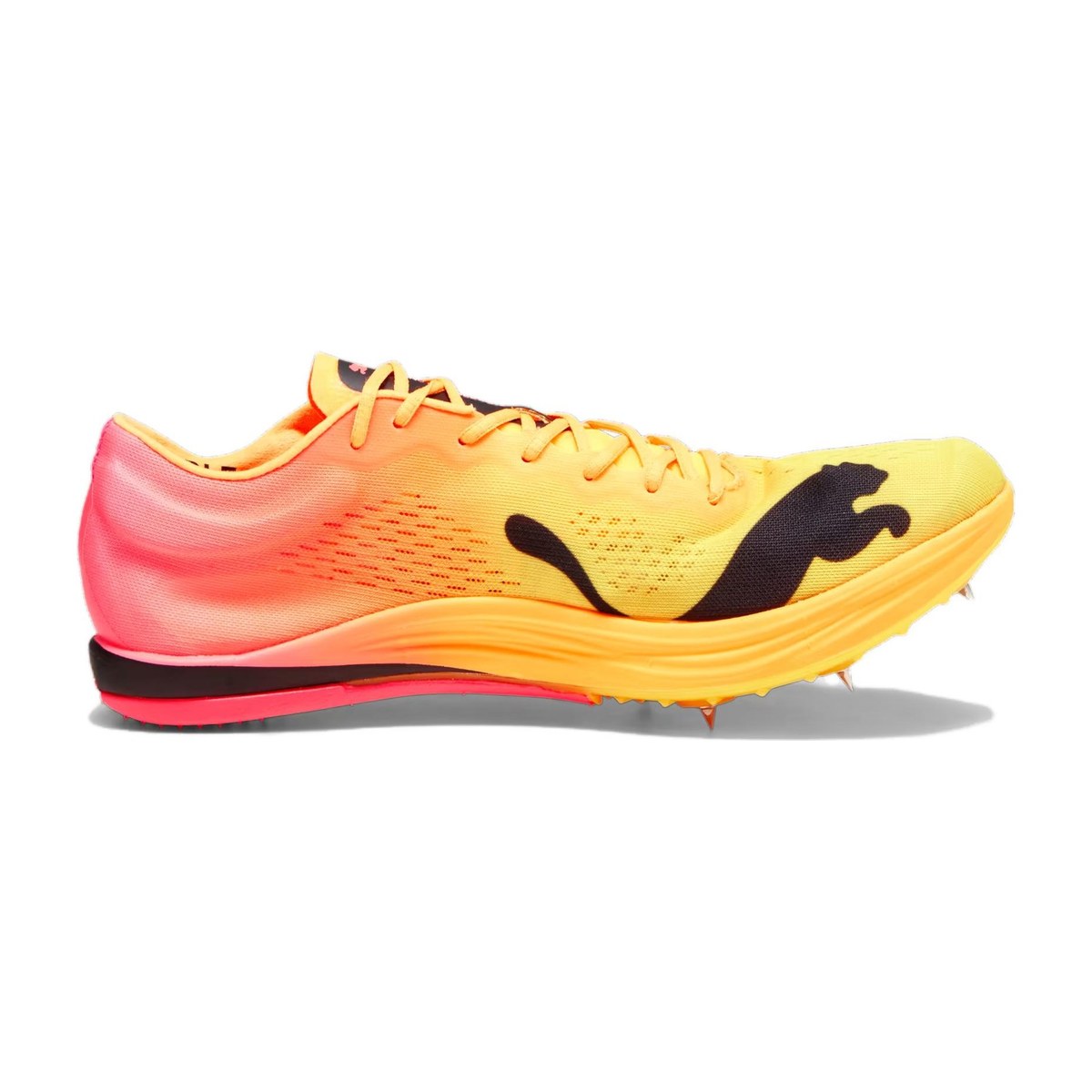 PUMA evoSPEED Long Distance
