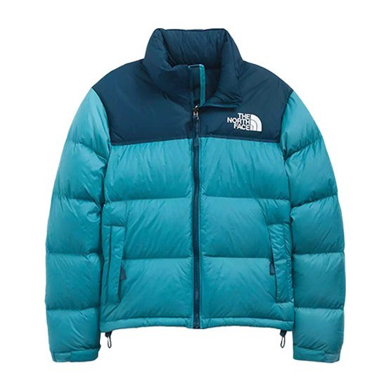 THE NORTH FACE 1996 Retro Nuptse 700