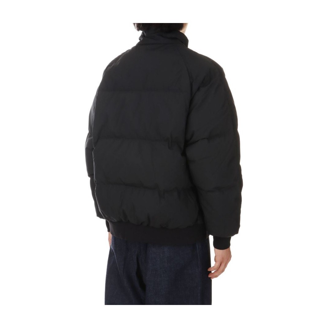 The North Face FW24 Purple Label Field Down Jacket Black