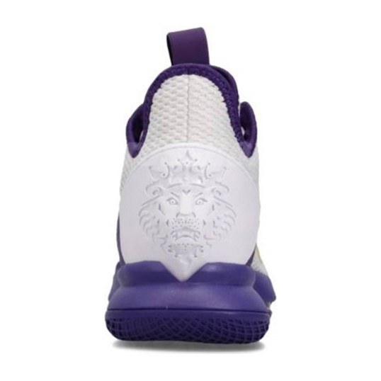 Nike Witness 4 LeBron EP