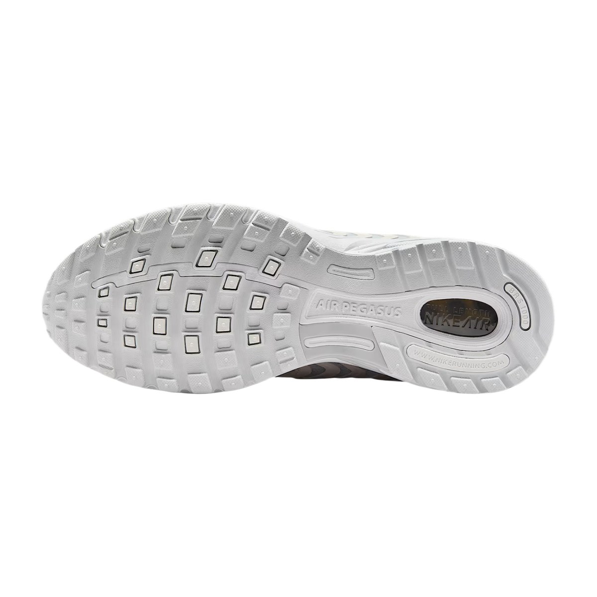 Nike Air Pegasus 2005 SE