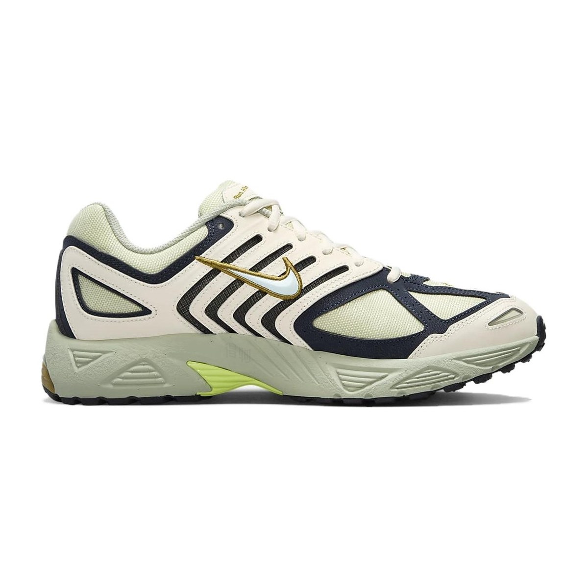 Nike Air Pegasus 2005