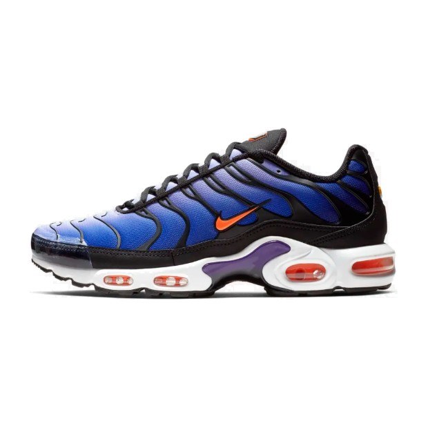 Nike Air Max Plus Midnight Purple