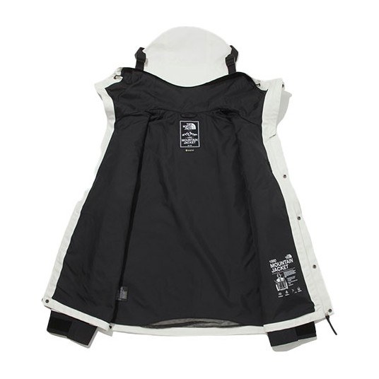 The North Face Novelty Gtx Mountain Jacket