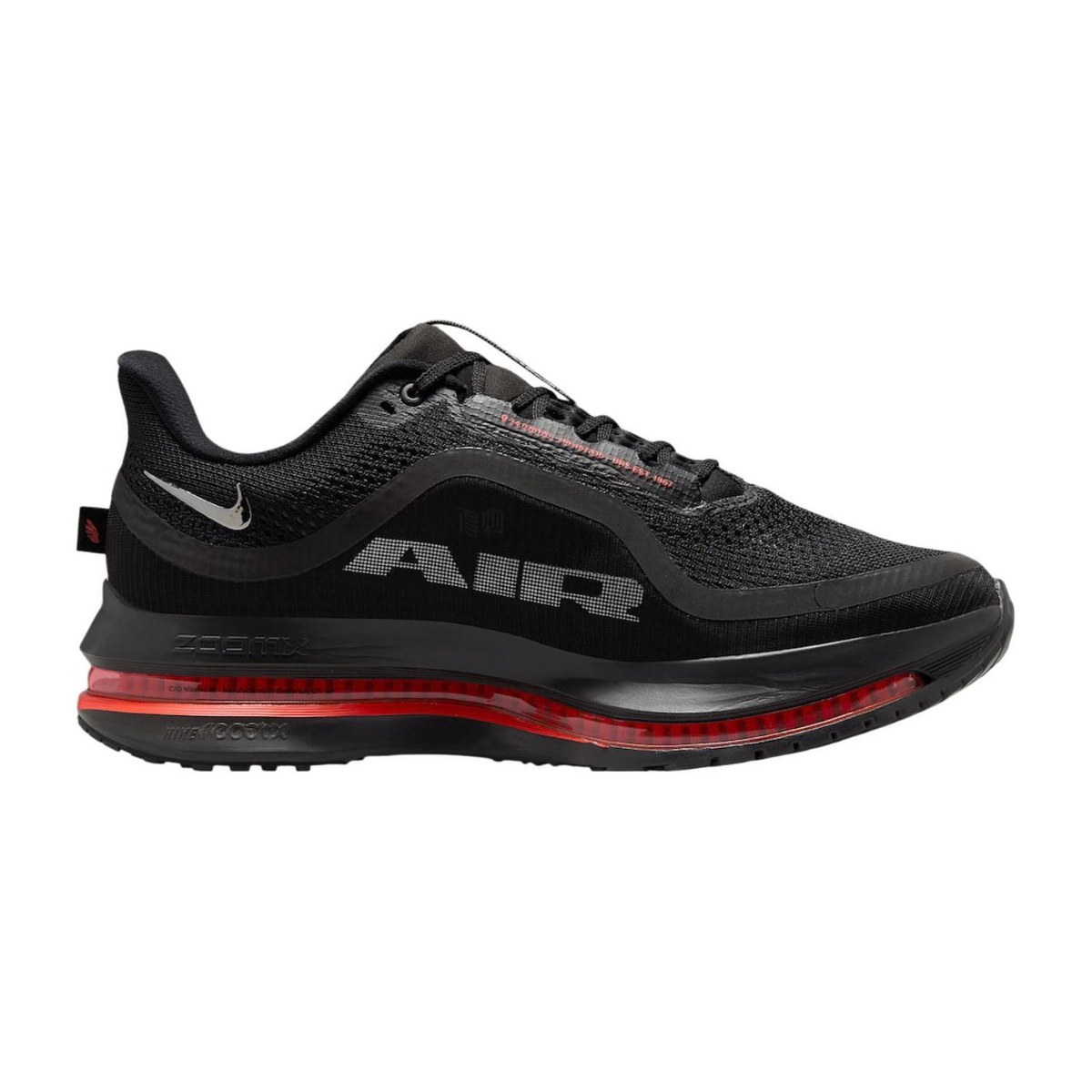 Nike Pegasus Premium Black