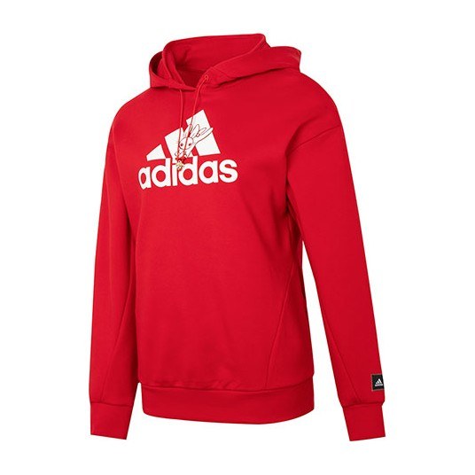 adidas Gfx Hoody