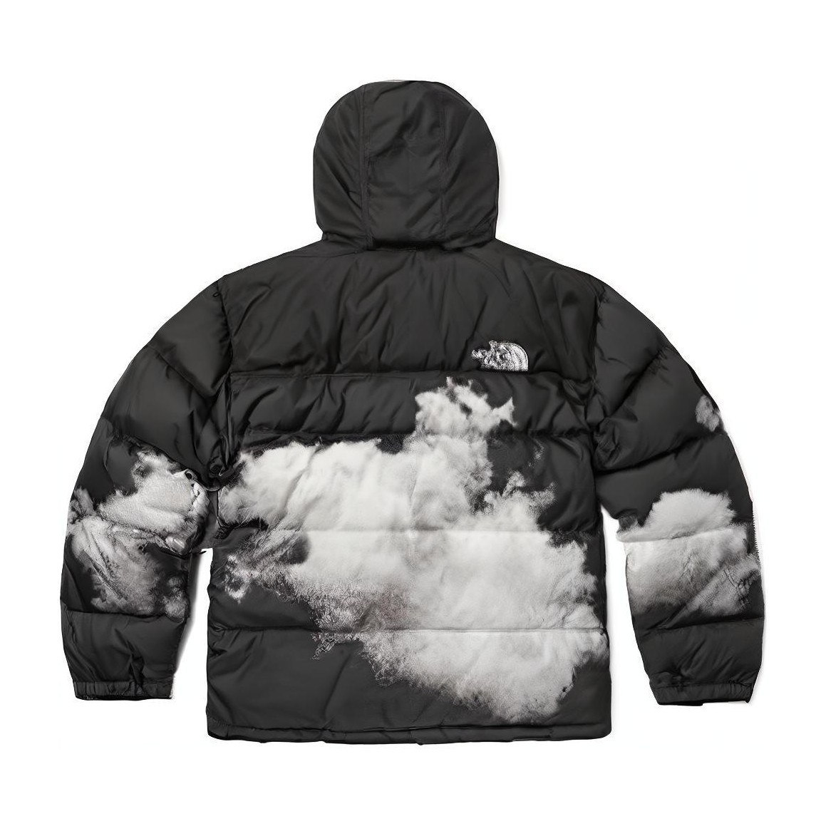 The North Face 1992 Anniversary Down Jacket