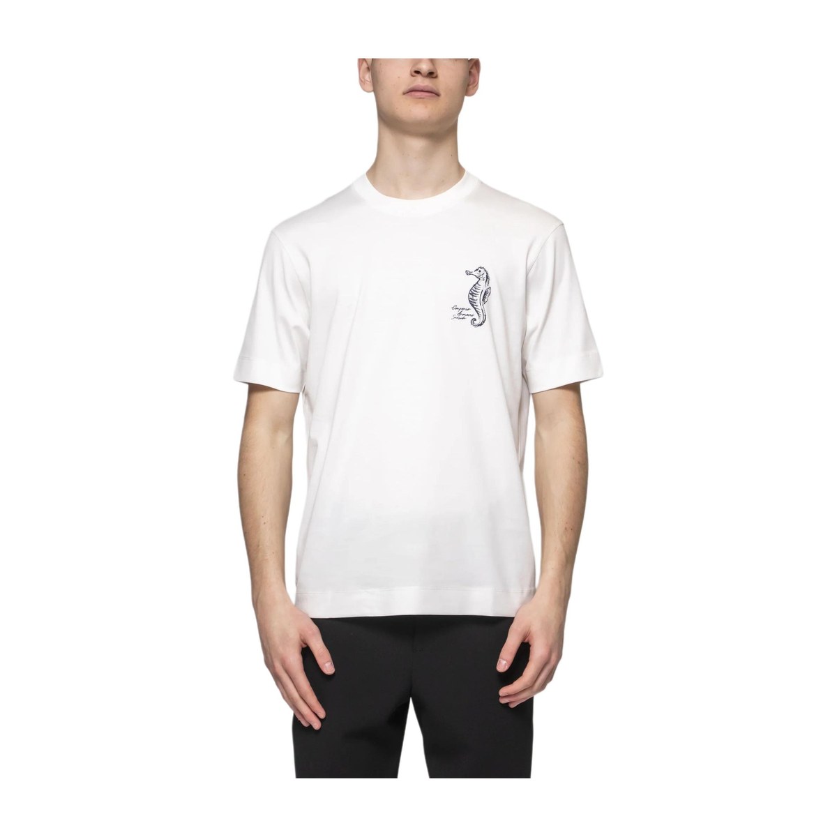 EMPORIO ARMANI SS25 T