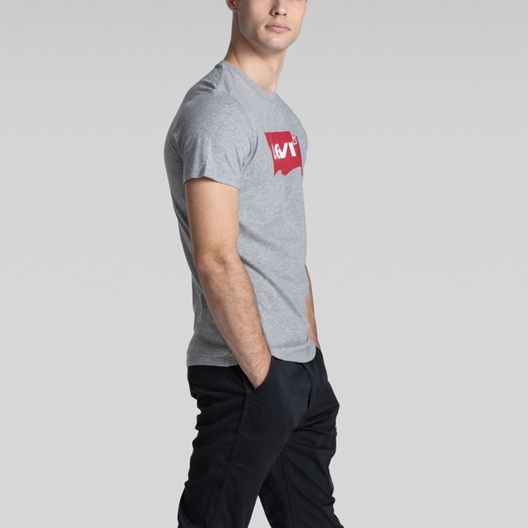 Levis