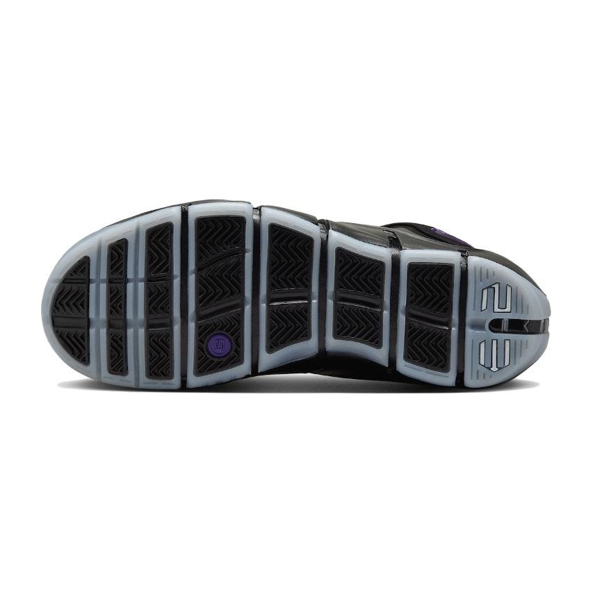 Nike Lebron 4 "Eggplant"
