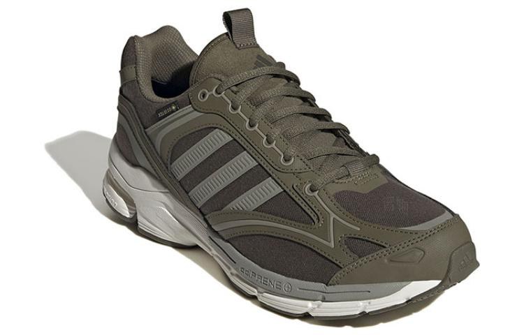 adidas Spiritain 2000 GTX Green